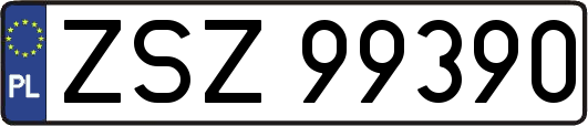 ZSZ99390