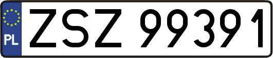 ZSZ99391