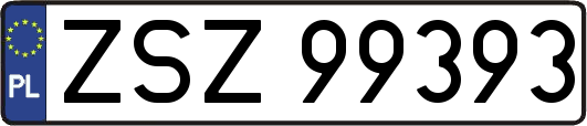 ZSZ99393