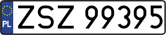 ZSZ99395