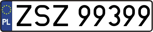 ZSZ99399
