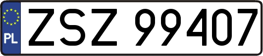 ZSZ99407