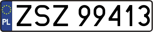 ZSZ99413