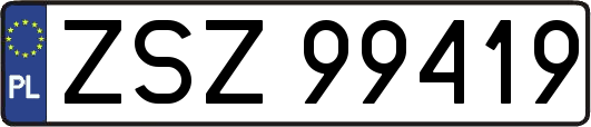 ZSZ99419