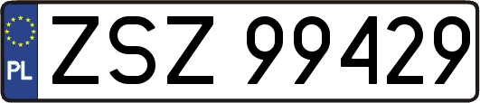 ZSZ99429