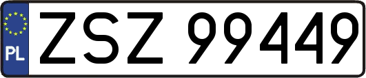 ZSZ99449