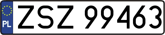 ZSZ99463