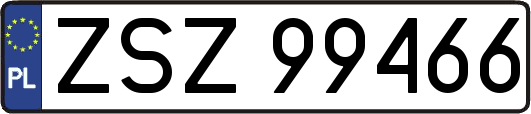 ZSZ99466