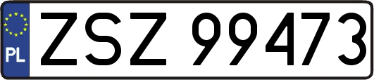 ZSZ99473