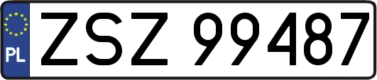 ZSZ99487