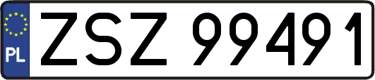 ZSZ99491