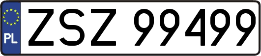 ZSZ99499