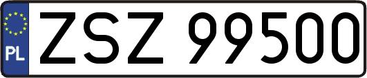 ZSZ99500