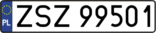 ZSZ99501