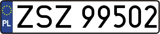ZSZ99502