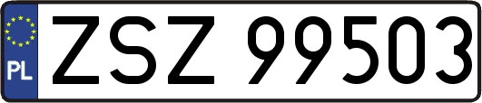 ZSZ99503