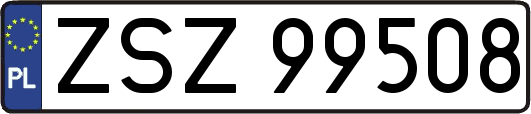 ZSZ99508
