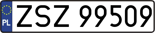ZSZ99509
