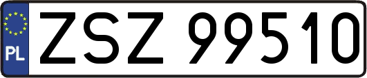 ZSZ99510