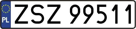 ZSZ99511