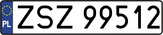 ZSZ99512