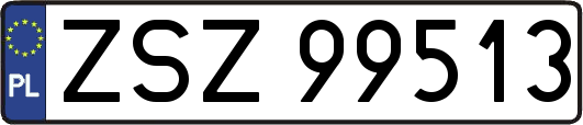 ZSZ99513