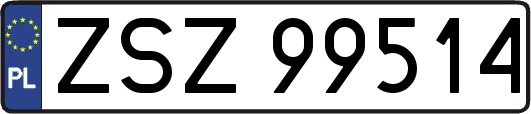ZSZ99514