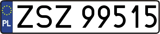 ZSZ99515