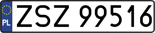 ZSZ99516