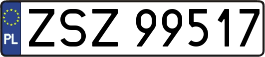 ZSZ99517