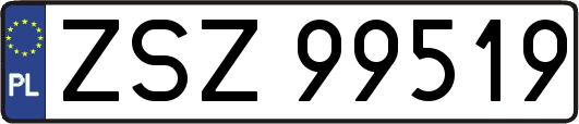 ZSZ99519