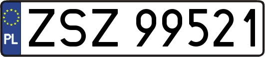 ZSZ99521