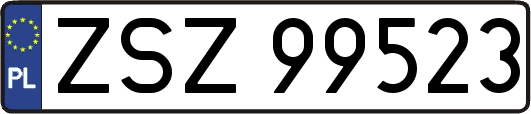 ZSZ99523