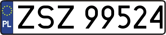 ZSZ99524