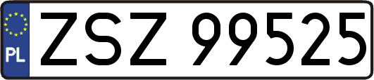 ZSZ99525