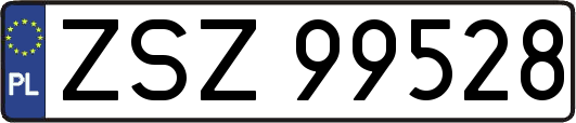 ZSZ99528