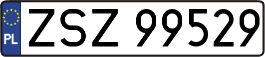 ZSZ99529