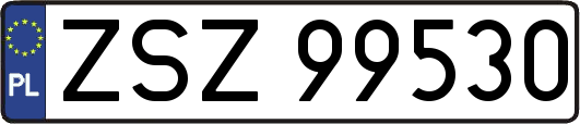 ZSZ99530