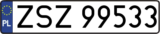 ZSZ99533