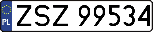 ZSZ99534