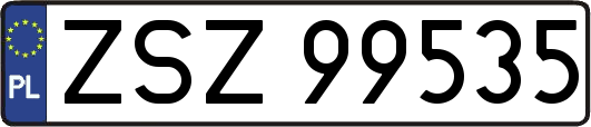 ZSZ99535