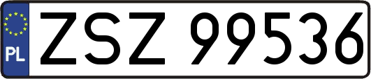 ZSZ99536