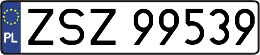 ZSZ99539