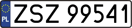 ZSZ99541