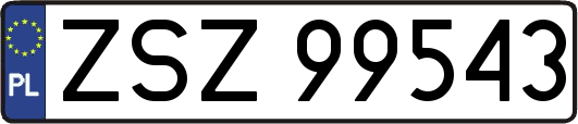 ZSZ99543