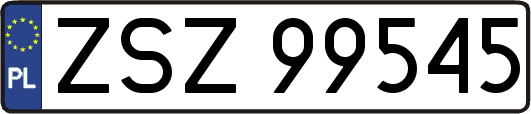 ZSZ99545