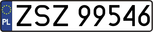 ZSZ99546