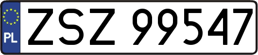 ZSZ99547