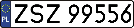 ZSZ99556