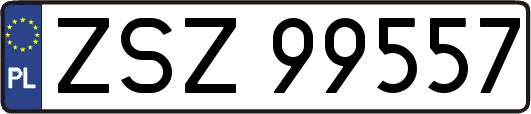ZSZ99557